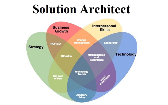 solution architect